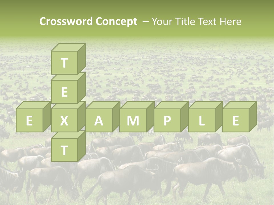 Plain Animal Tanzania PowerPoint Template