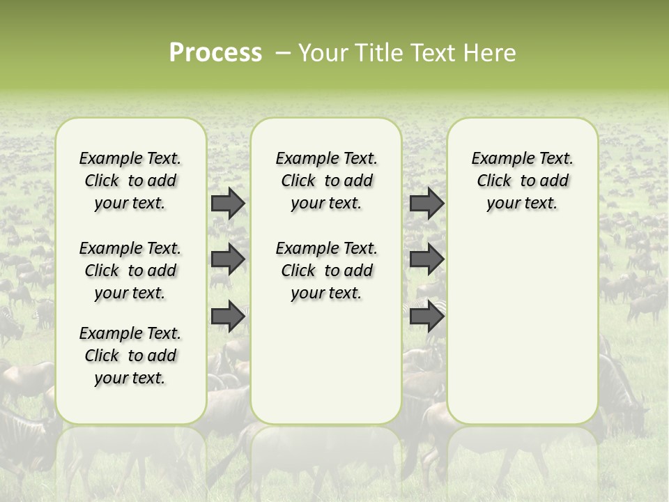Plain Animal Tanzania PowerPoint Template