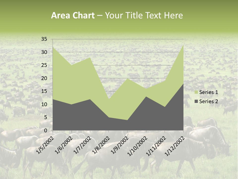 Plain Animal Tanzania PowerPoint Template