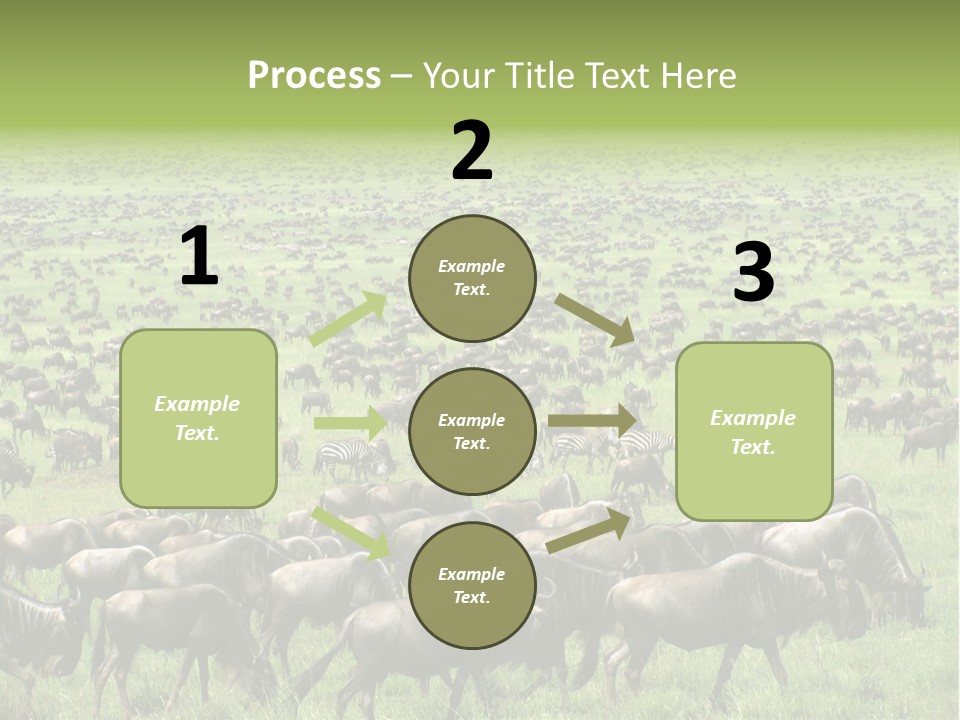 Plain Animal Tanzania PowerPoint Template