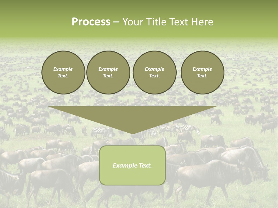 Plain Animal Tanzania PowerPoint Template