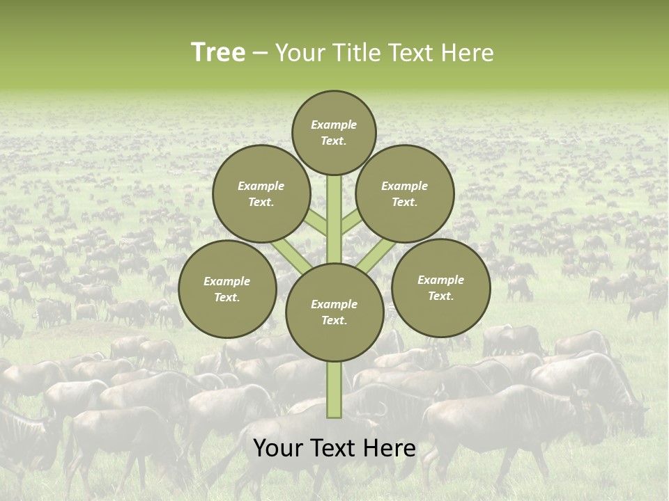 Plain Animal Tanzania PowerPoint Template