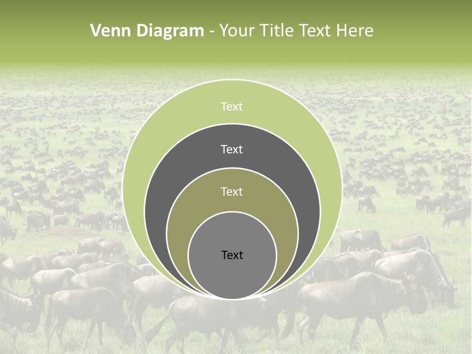 Plain Animal Tanzania PowerPoint Template
