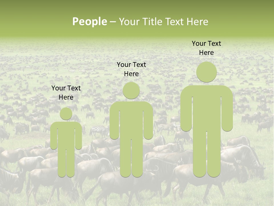 Plain Animal Tanzania PowerPoint Template