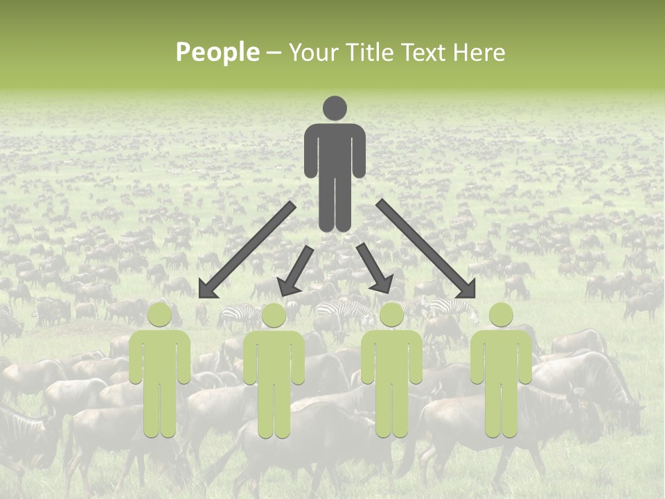 Plain Animal Tanzania PowerPoint Template