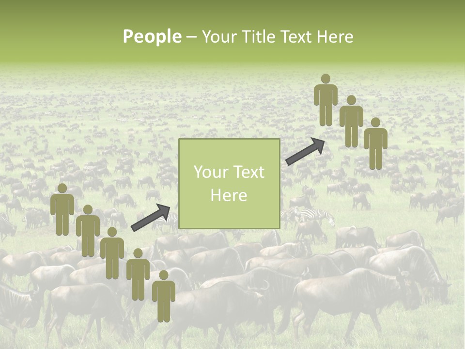 Plain Animal Tanzania PowerPoint Template