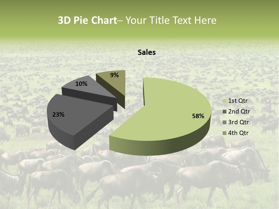Plain Animal Tanzania PowerPoint Template