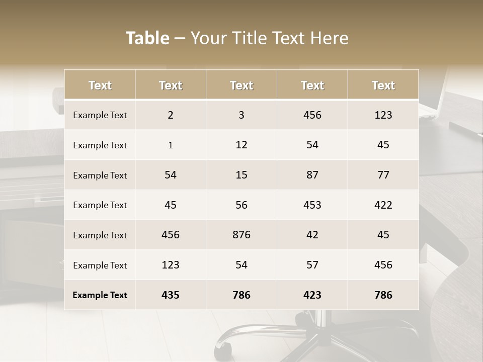 Tulle Manager Key PowerPoint Template