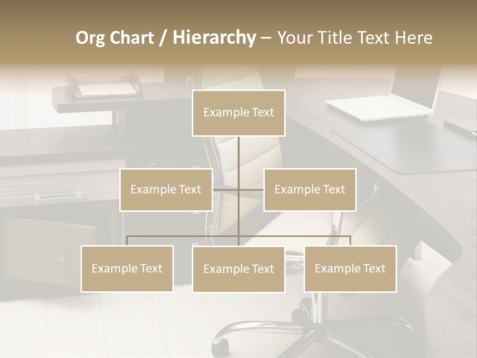 Tulle Manager Key PowerPoint Template