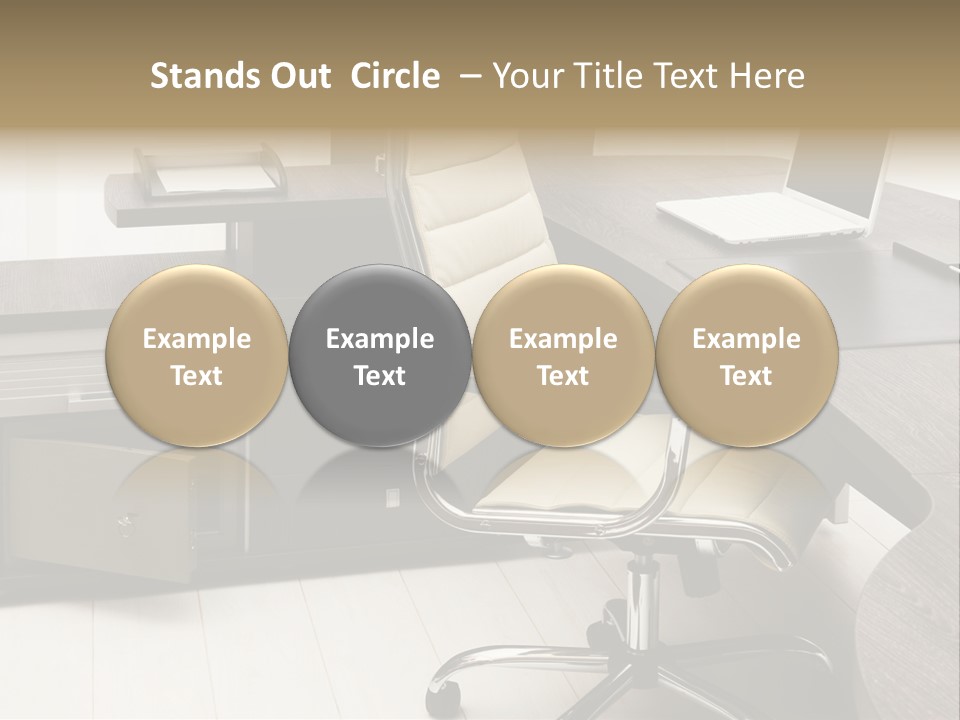 Tulle Manager Key PowerPoint Template