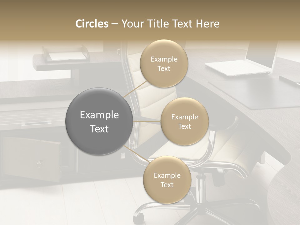 Tulle Manager Key PowerPoint Template