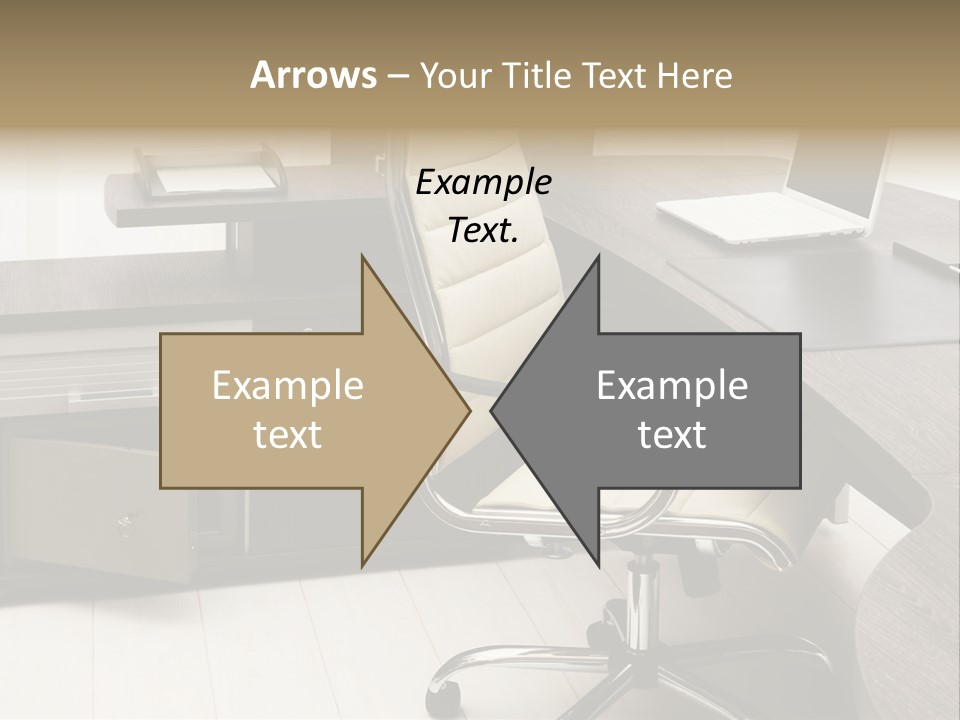 Tulle Manager Key PowerPoint Template