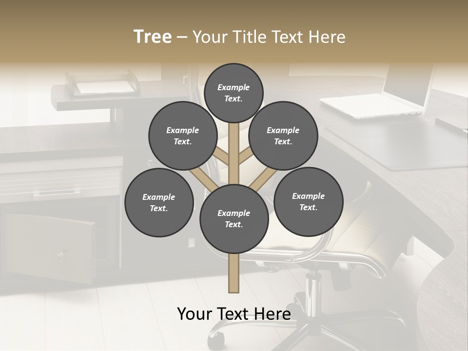 Tulle Manager Key PowerPoint Template