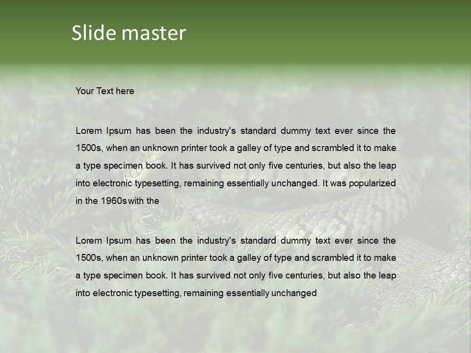 Natrix Natrix Grass Snake With Tongue Out Natrix PowerPoint Template