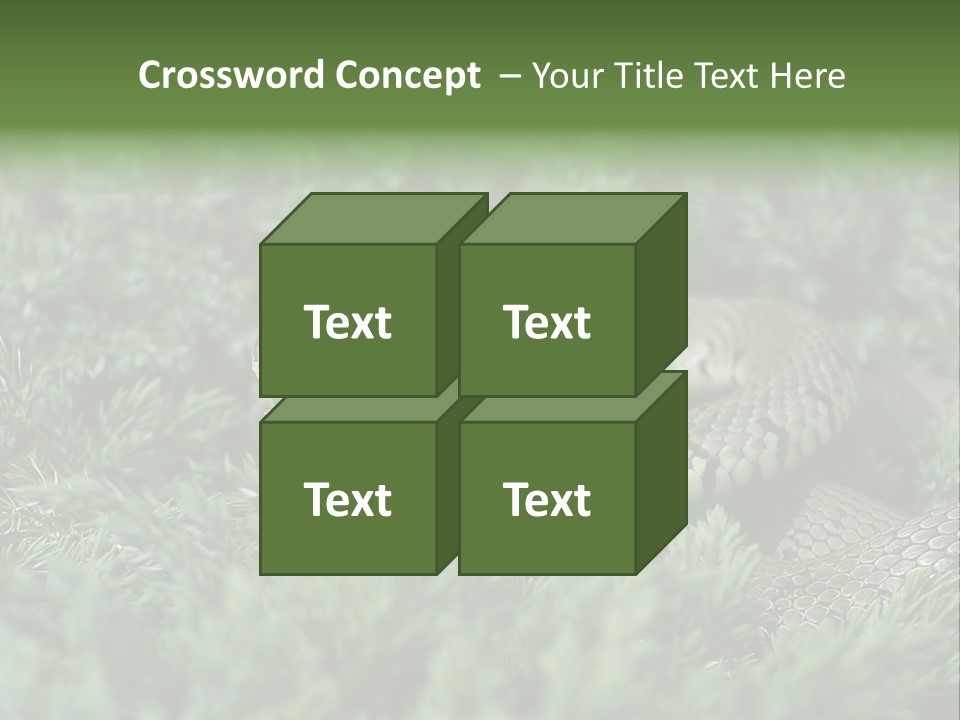 Natrix Natrix Grass Snake With Tongue Out Natrix PowerPoint Template