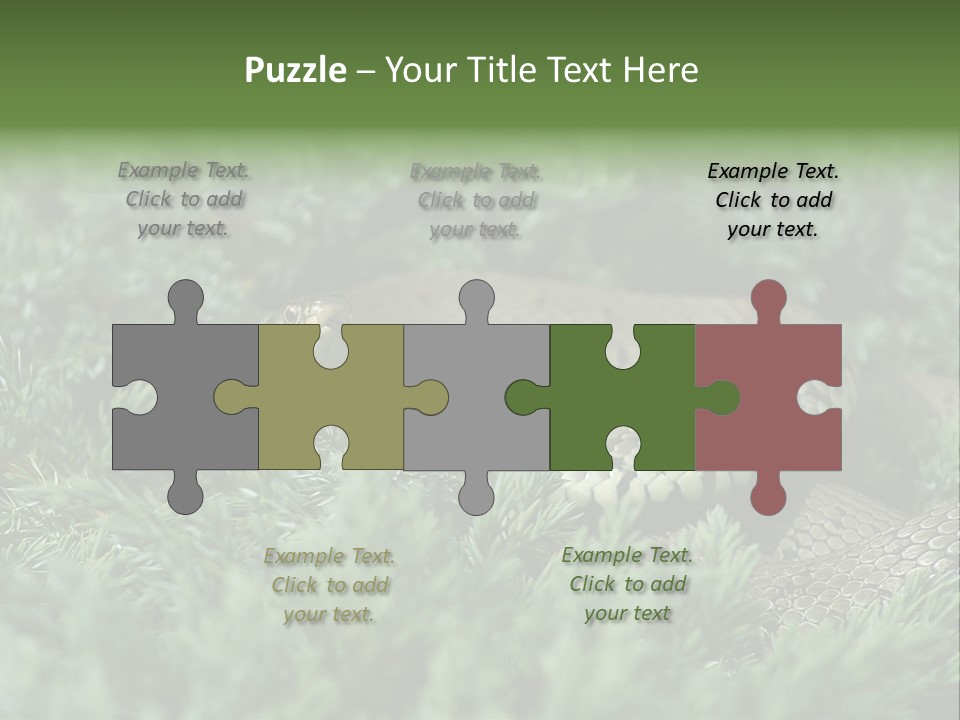 Natrix Natrix Grass Snake With Tongue Out Natrix PowerPoint Template