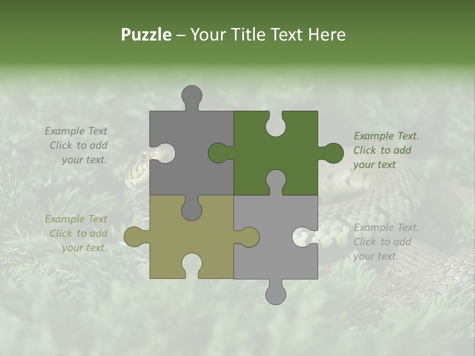 Natrix Natrix Grass Snake With Tongue Out Natrix PowerPoint Template