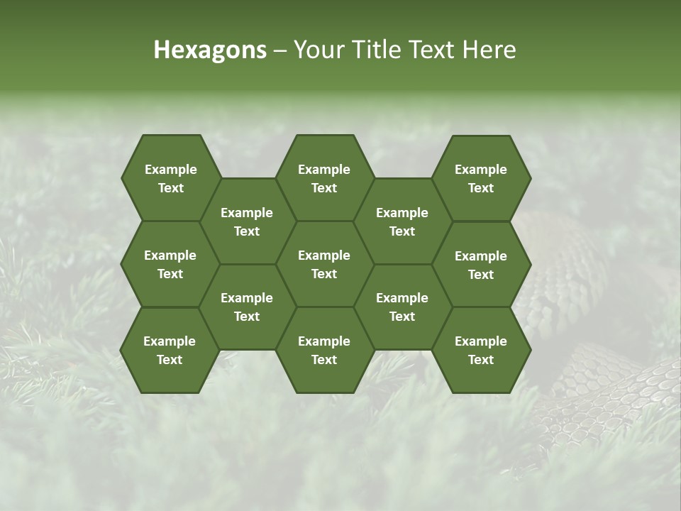 Natrix Natrix Grass Snake With Tongue Out Natrix PowerPoint Template