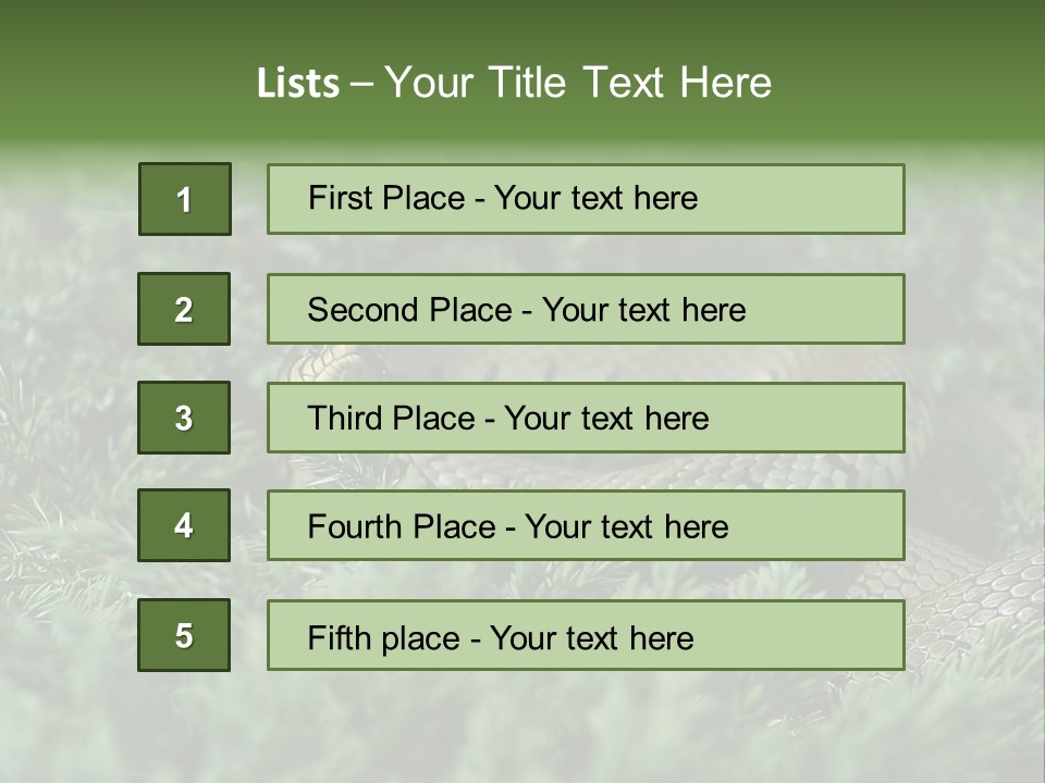 Natrix Natrix Grass Snake With Tongue Out Natrix PowerPoint Template