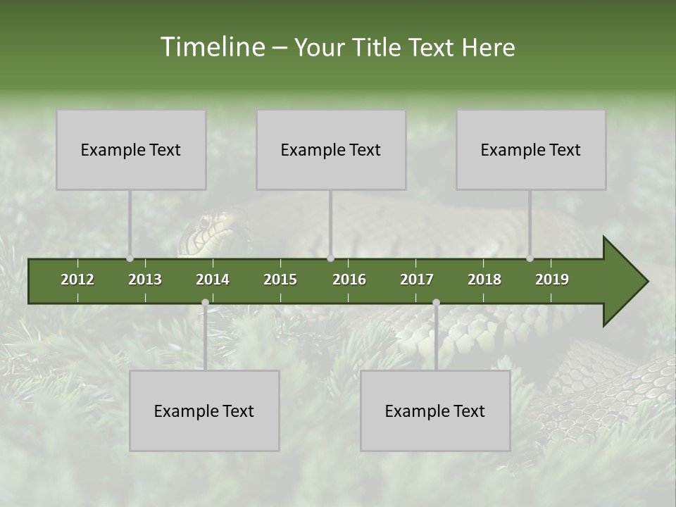 Natrix Natrix Grass Snake With Tongue Out Natrix PowerPoint Template