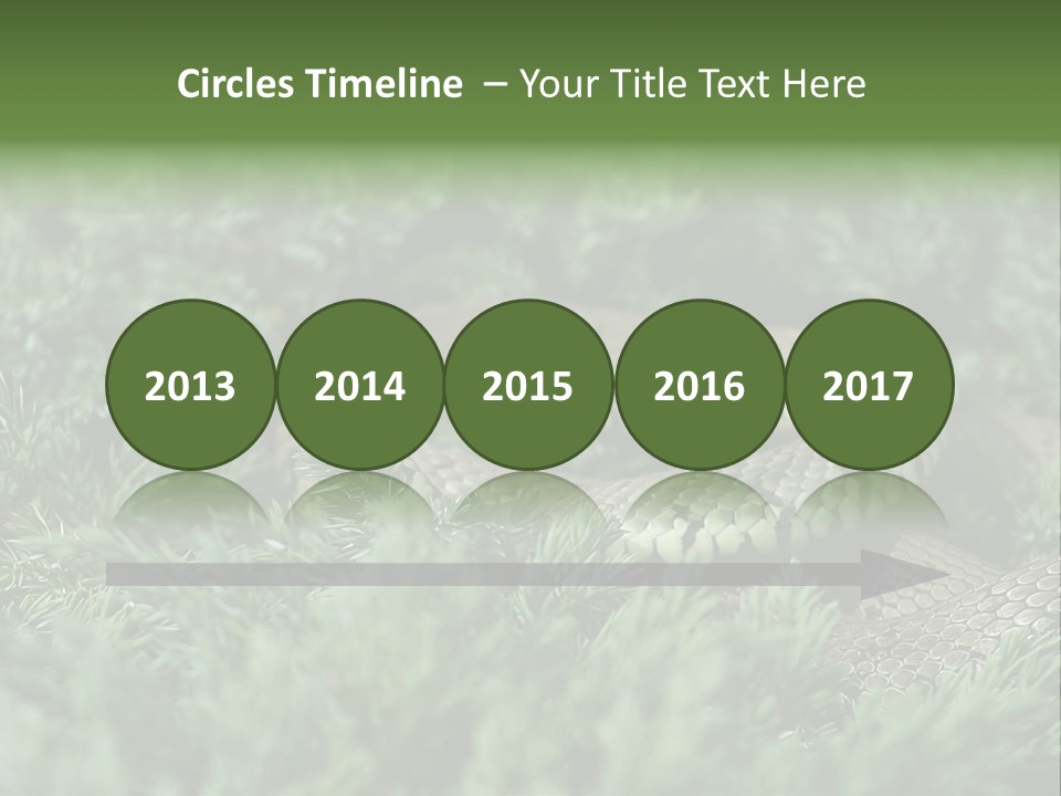 Natrix Natrix Grass Snake With Tongue Out Natrix PowerPoint Template