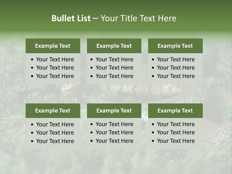 Natrix Natrix Grass Snake With Tongue Out Natrix PowerPoint Template