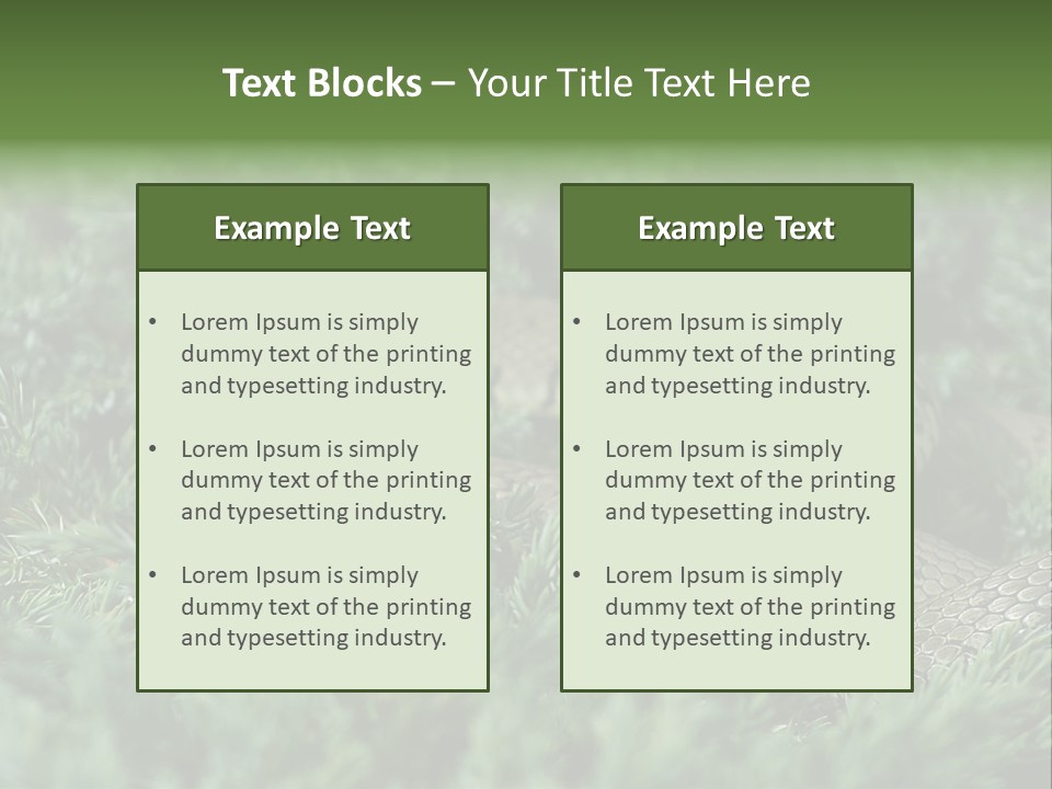 Natrix Natrix Grass Snake With Tongue Out Natrix PowerPoint Template