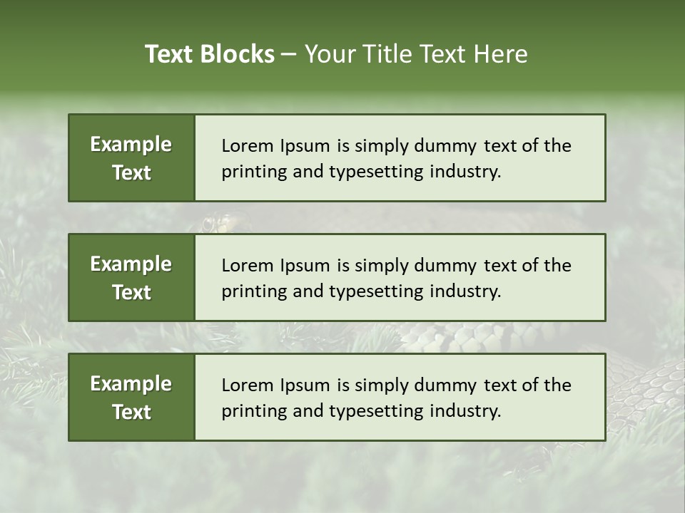 Natrix Natrix Grass Snake With Tongue Out Natrix PowerPoint Template