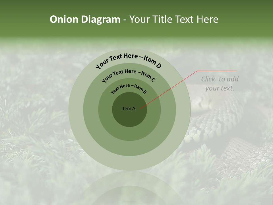 Natrix Natrix Grass Snake With Tongue Out Natrix PowerPoint Template