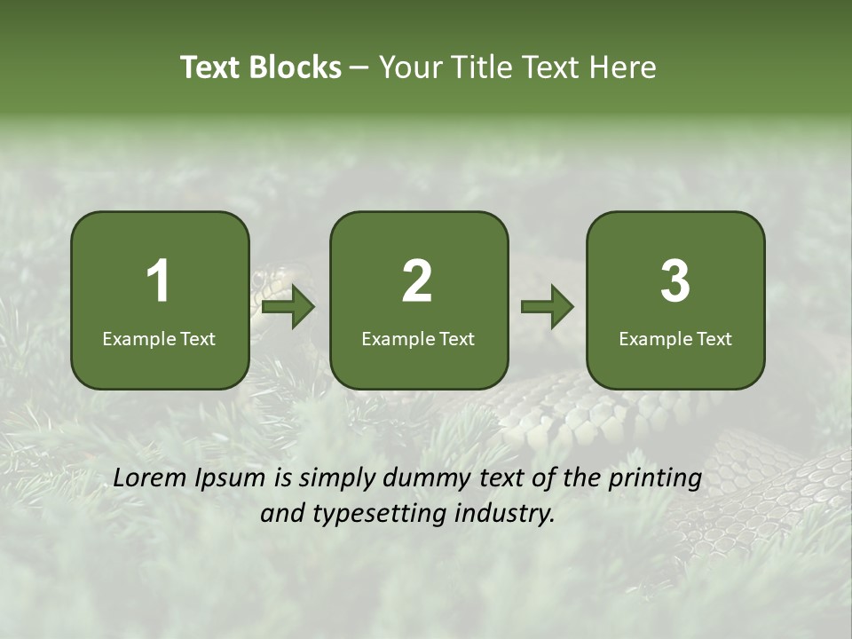 Natrix Natrix Grass Snake With Tongue Out Natrix PowerPoint Template