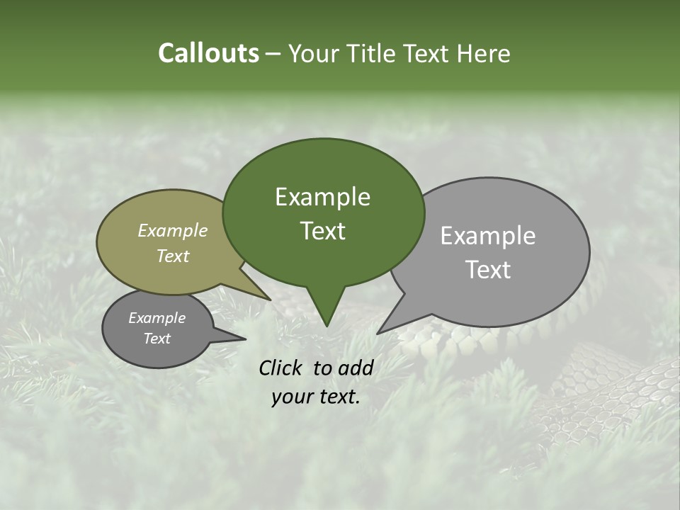 Natrix Natrix Grass Snake With Tongue Out Natrix PowerPoint Template