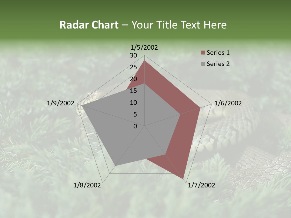 Natrix Natrix Grass Snake With Tongue Out Natrix PowerPoint Template