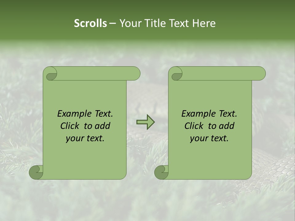 Natrix Natrix Grass Snake With Tongue Out Natrix PowerPoint Template