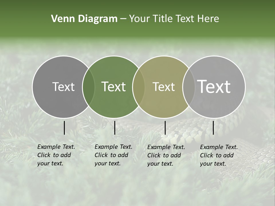 Natrix Natrix Grass Snake With Tongue Out Natrix PowerPoint Template