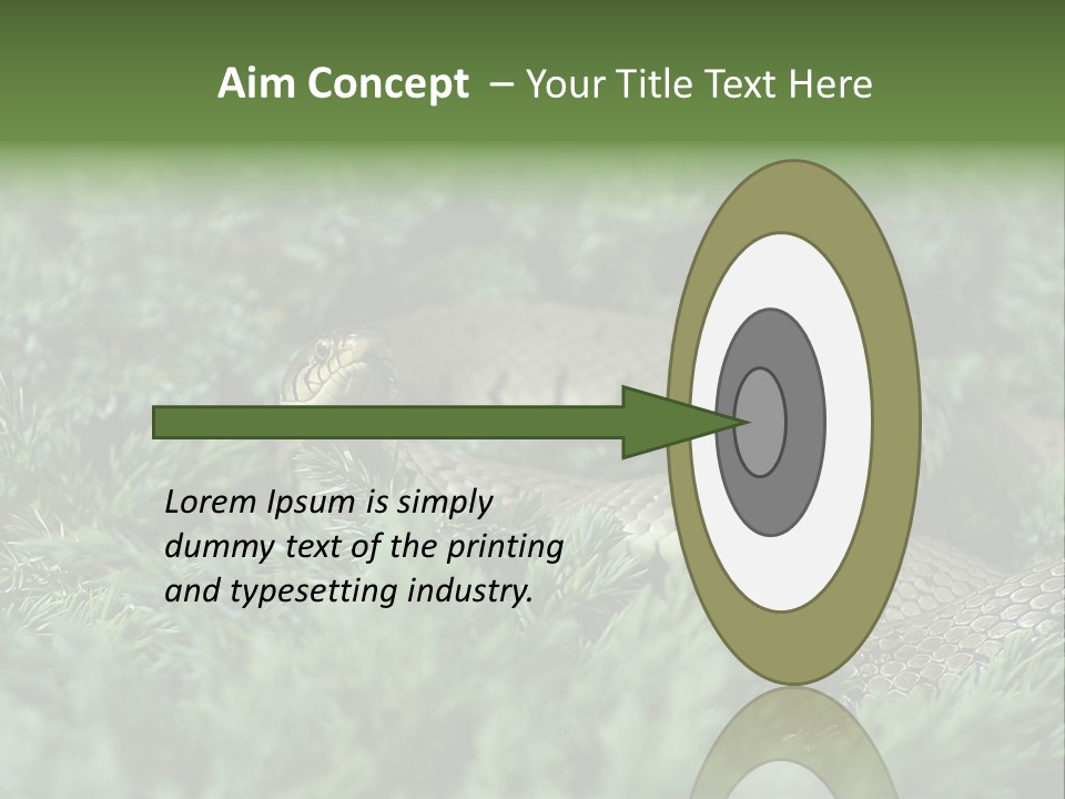 Natrix Natrix Grass Snake With Tongue Out Natrix PowerPoint Template