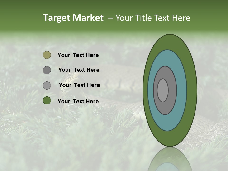 Natrix Natrix Grass Snake With Tongue Out Natrix PowerPoint Template