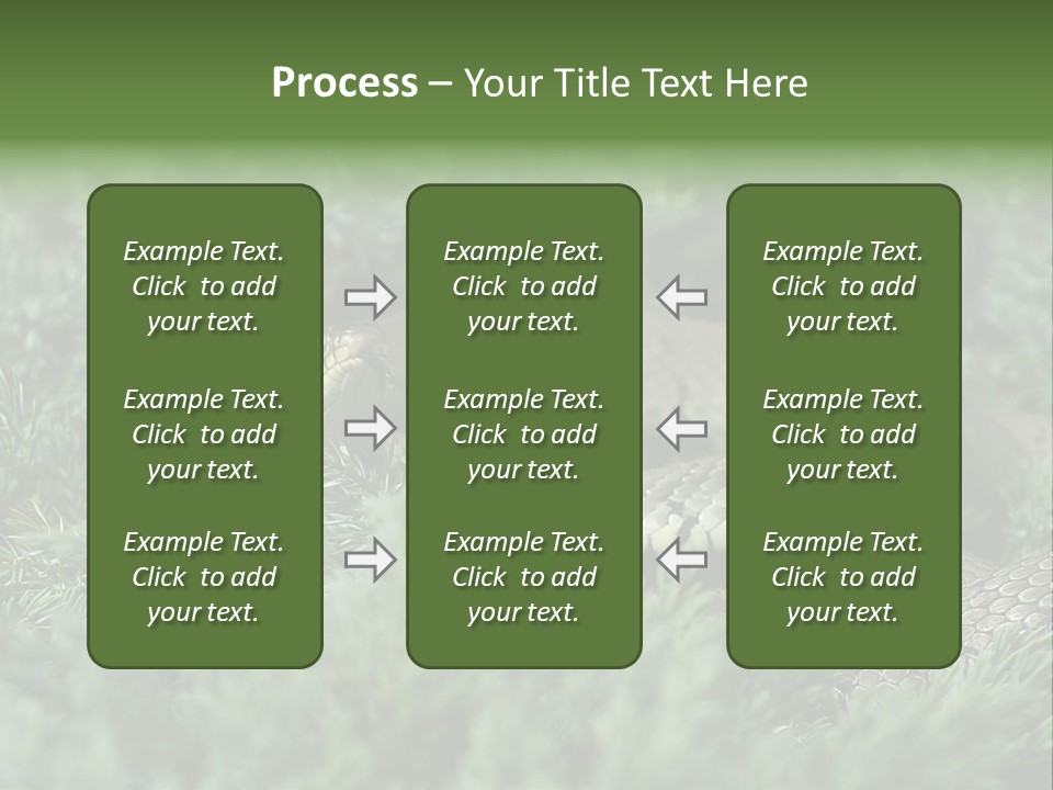 Natrix Natrix Grass Snake With Tongue Out Natrix PowerPoint Template