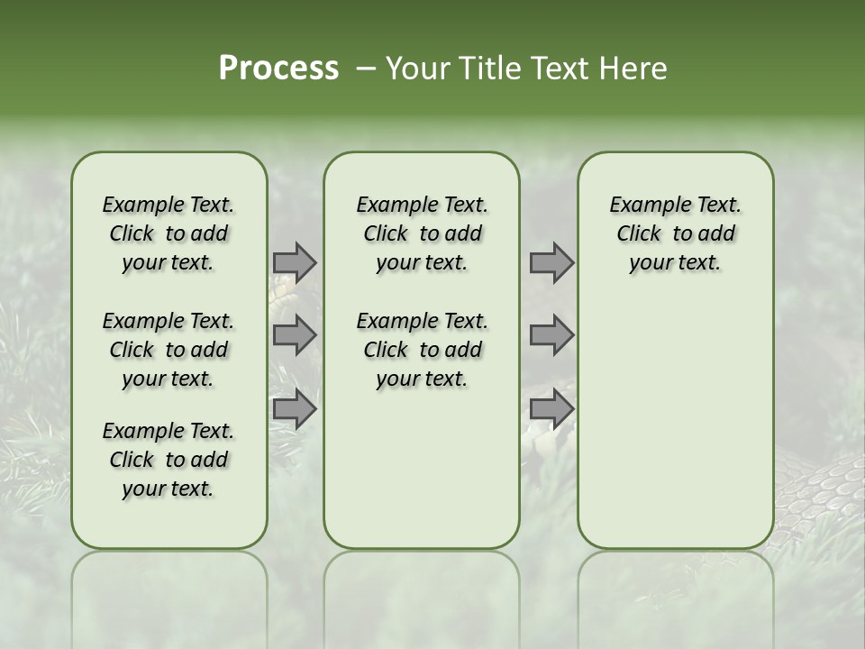 Natrix Natrix Grass Snake With Tongue Out Natrix PowerPoint Template