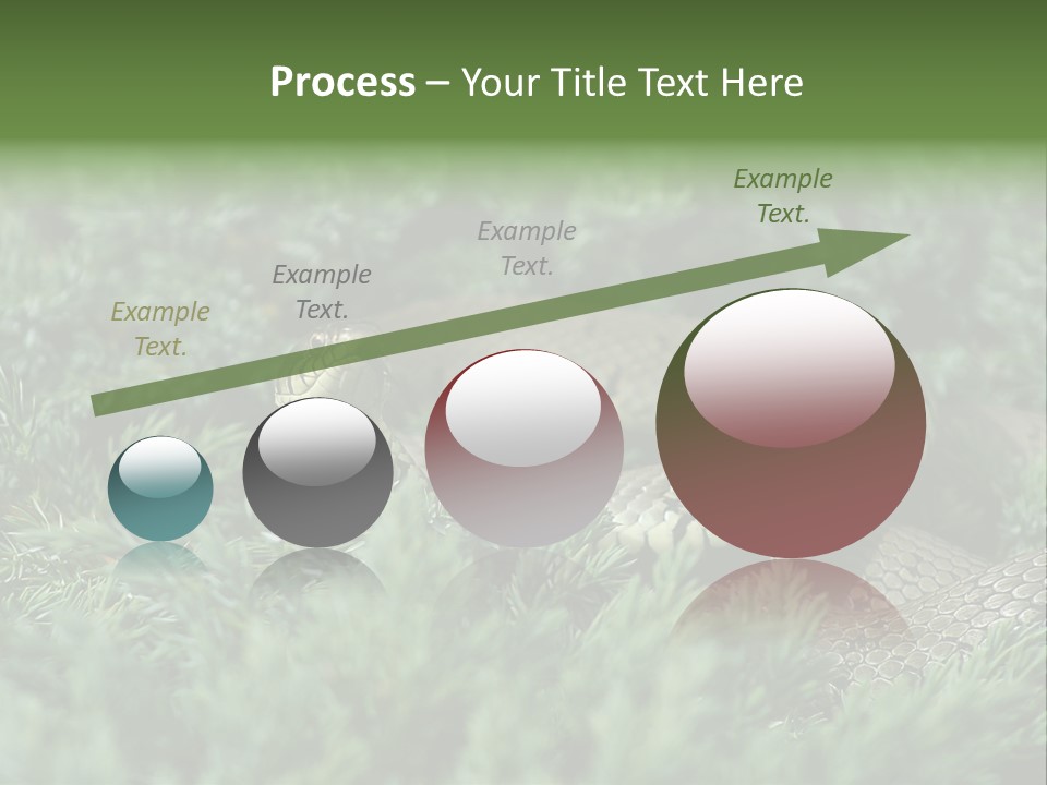 Natrix Natrix Grass Snake With Tongue Out Natrix PowerPoint Template