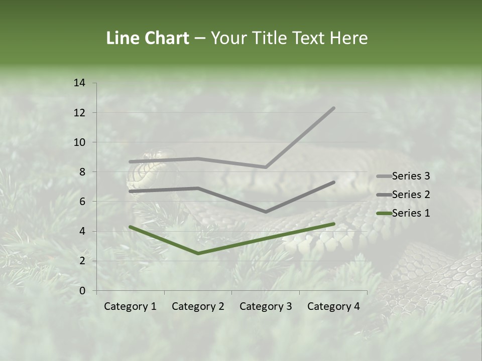 Natrix Natrix Grass Snake With Tongue Out Natrix PowerPoint Template