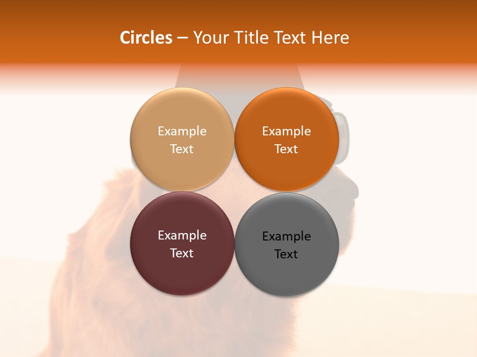 Healthy Background Pup PowerPoint Template