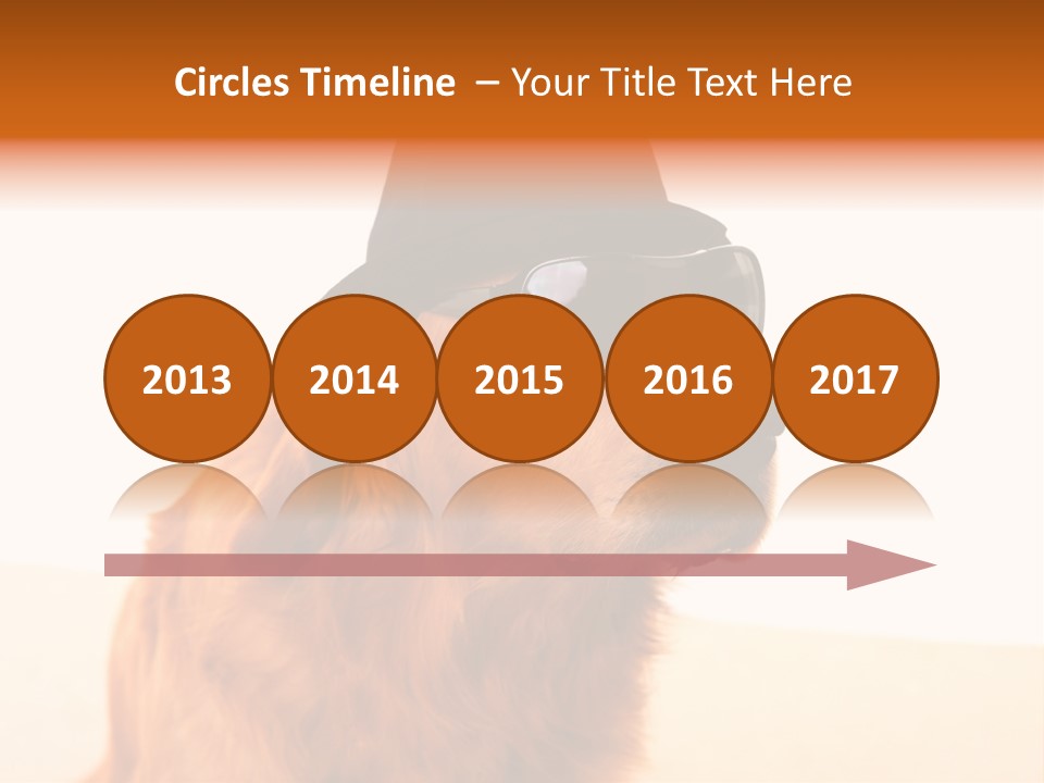 Healthy Background Pup PowerPoint Template