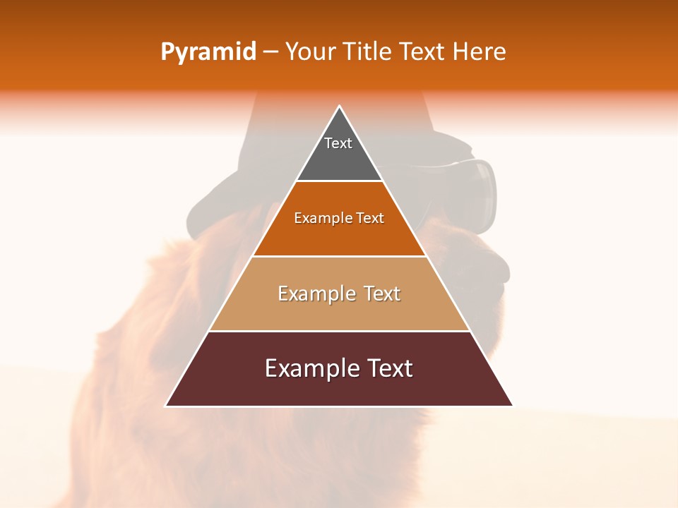 Healthy Background Pup PowerPoint Template