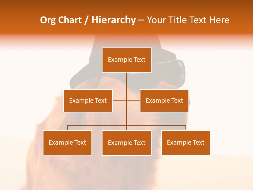 Healthy Background Pup PowerPoint Template