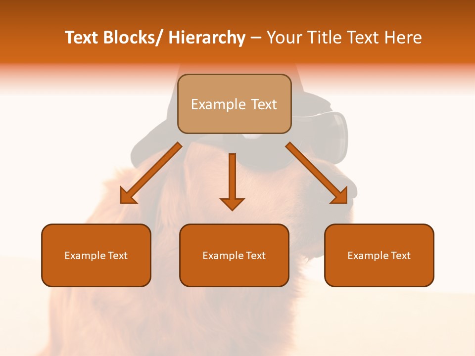 Healthy Background Pup PowerPoint Template