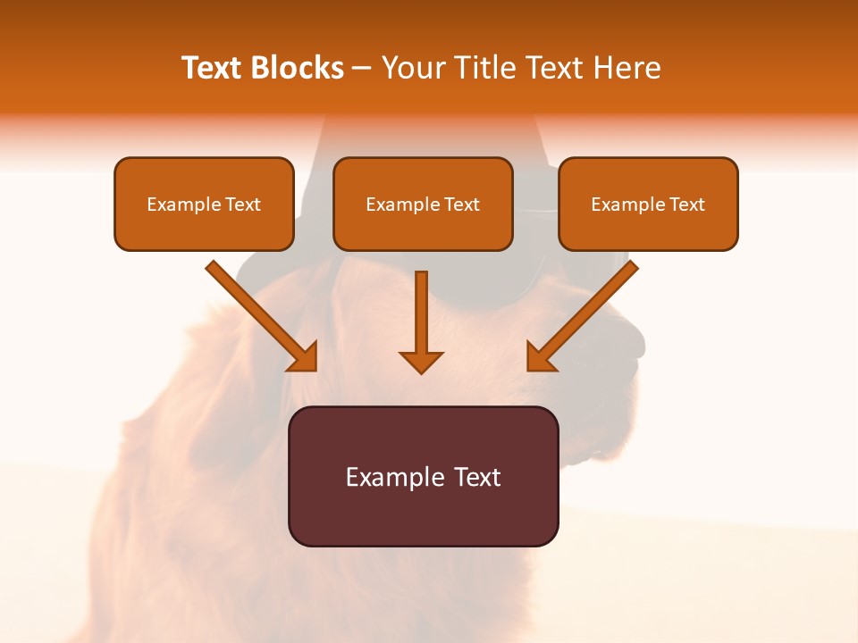 Healthy Background Pup PowerPoint Template