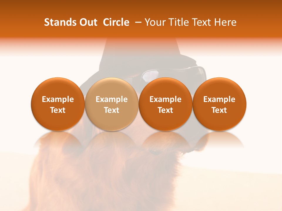 Healthy Background Pup PowerPoint Template