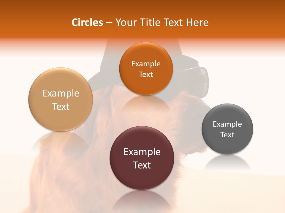 Healthy Background Pup PowerPoint Template