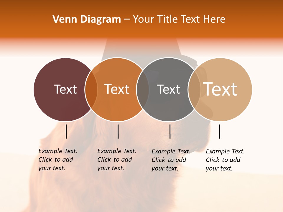 Healthy Background Pup PowerPoint Template