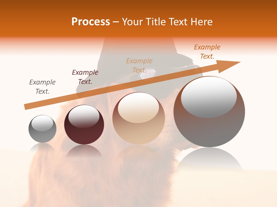 Healthy Background Pup PowerPoint Template